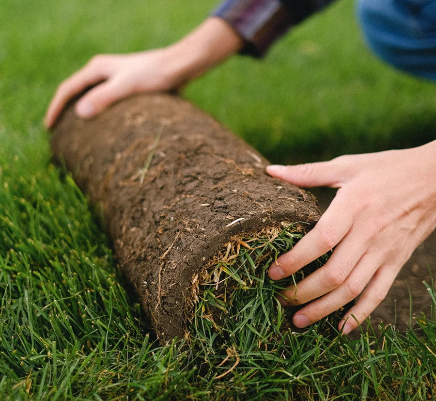 Zakładanie trawników z rolki